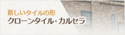 新しいタイルの形　クローンタイル・カルセラ